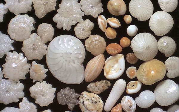 1346748589_5 (600x375, 58Kb)
