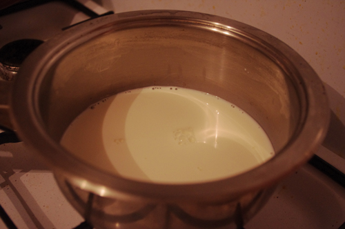 IMGP2057 (500x332, 111Kb)