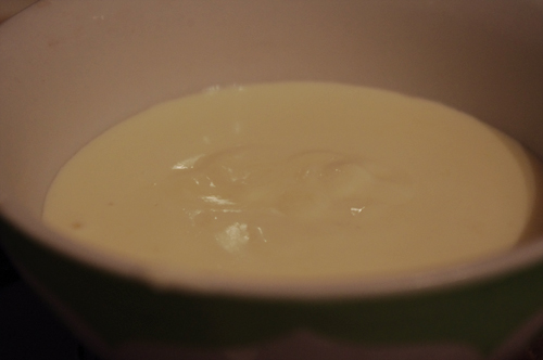 IMGP2067 (500x332, 84Kb)