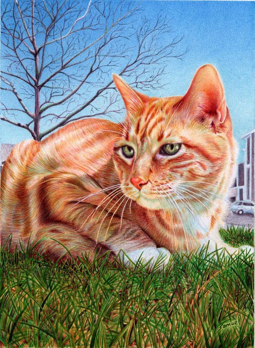ginger_cat___ballpoint_pen_by_vianaarts-d4z3sg3 (514x700, 144Kb)