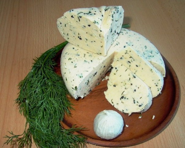 Домашний-сыр (604x484, 66Kb)