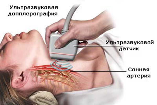 сбалансированная диета для