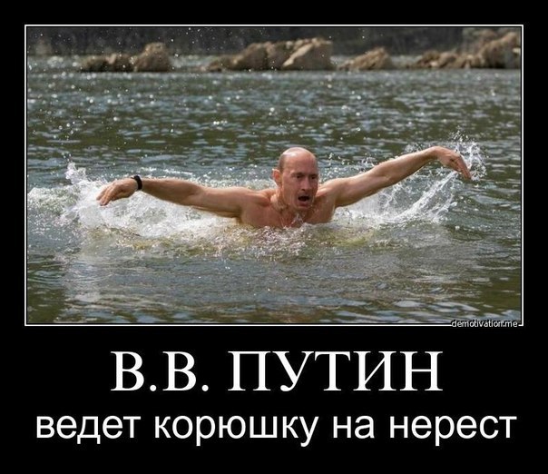В.В.Путин ведёт корюшку на нерест