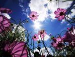  amazing_photos_of_nature_07 (700x525, 71Kb)