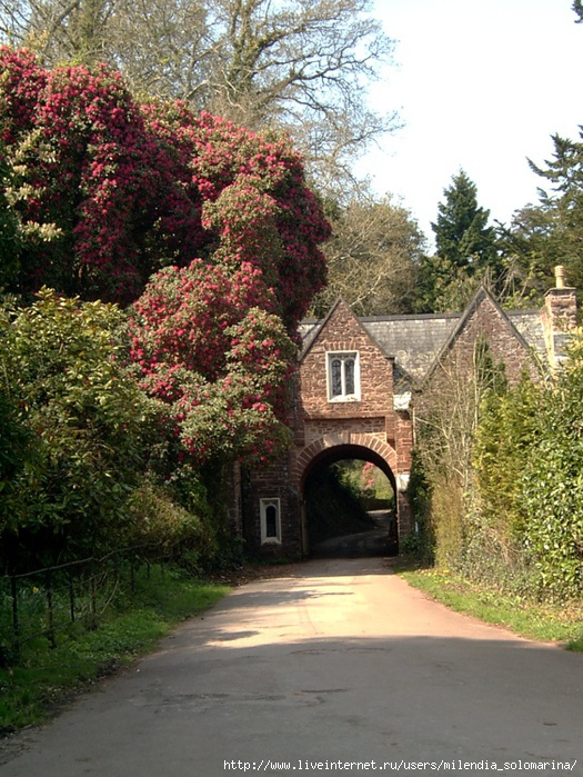 devon_cockington21 (525x700, 339Kb)