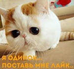  ZmixB6kz6Tk (500x467, 43Kb)