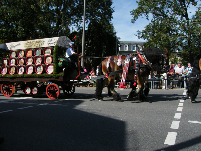 Tag der Sachsen 2012 in Freiberg - Часть2 49986