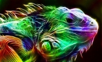  1290249294_f_19961663 (700x423, 260Kb)