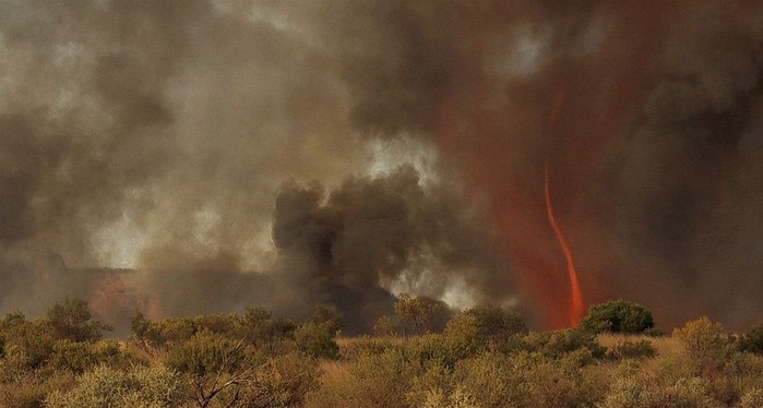 Fire Tornado Огненный торнадо в Австралии. Фотографии, видео