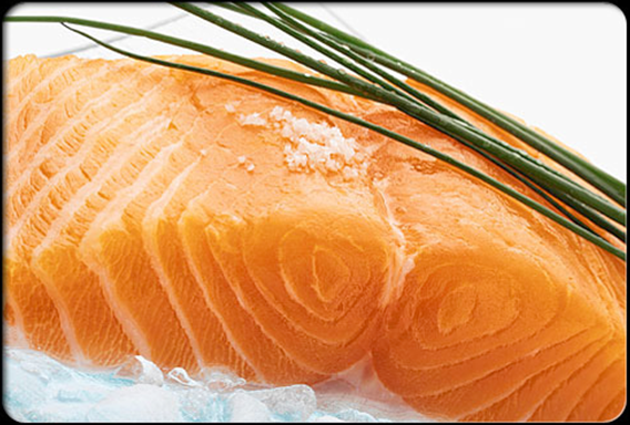 sockeye_fillet (568x384, 406Kb)