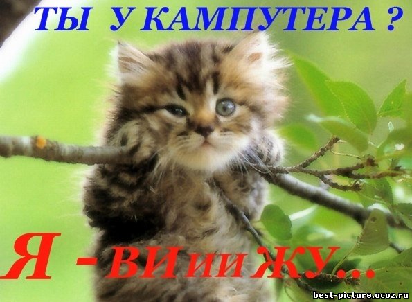 http://img1.liveinternet.ru/images/attach/c/6/91/906/91906149_706920314.jpg