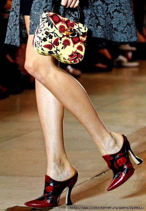 3149611_miumiurtwspring2012details036_115420914273_20120118080118 (484x700, 196Kb)