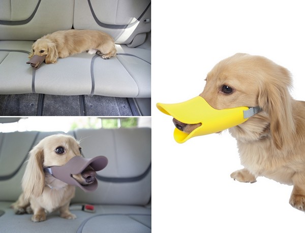 3925073_Quack_Muzzle_3 (600x459, 43Kb)