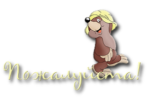 0_4f0f1_f267160f_M (300x200, 39Kb)