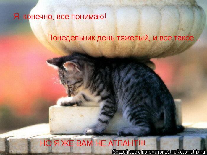 http://img1.liveinternet.ru/images/attach/c/6/92/693/92693889_639296.jpg