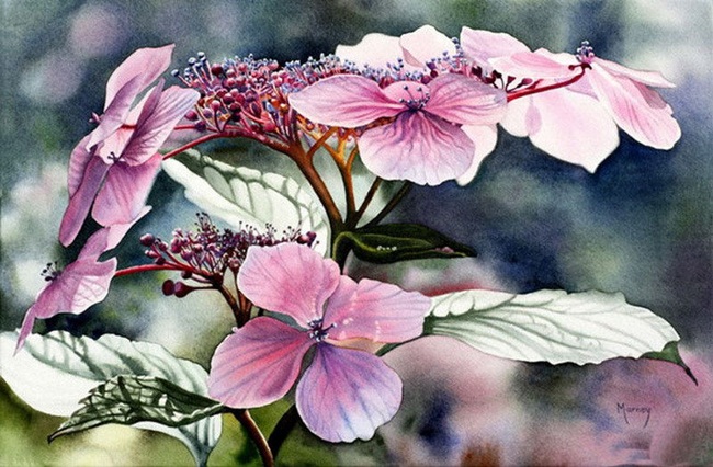 watercolor-flower-paintings-by-marney-ward-22 (650x426, 135Kb)