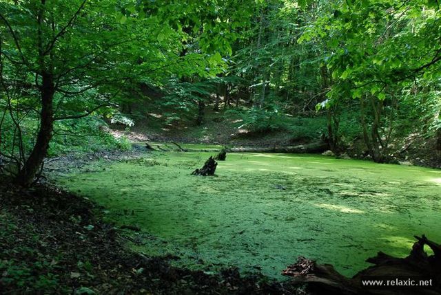 Iran-nature_041 (640x429, 83Kb)