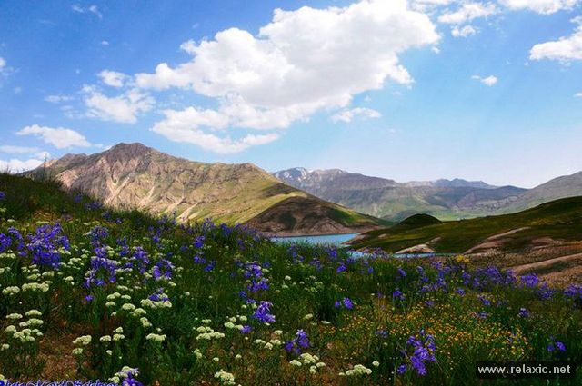 Iran-nature_023 (640x425, 60Kb)