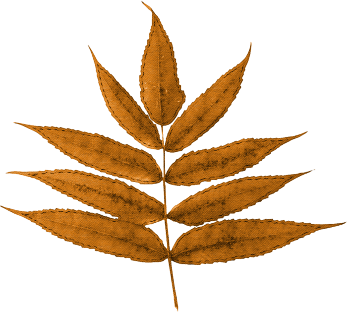 dbk-autumnair-leaf2 (700x629, 374Kb)