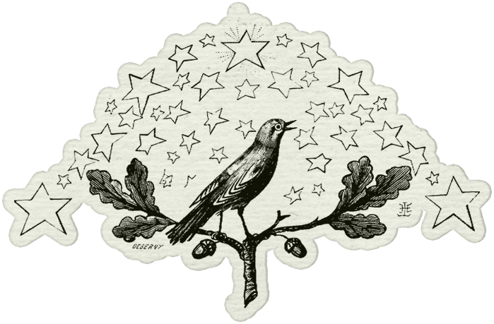 thora-BirdsFeather_Sticker2 (699x459, 242Kb)