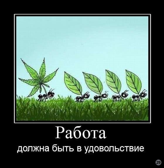 8 (560x573, 49Kb)