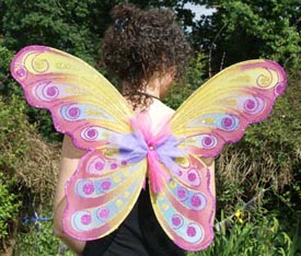 fairy_wings_carnival (275x234, 61Kb)