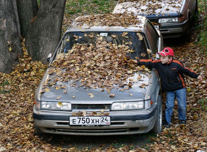 Осень 20124 (700x515, 114Kb)