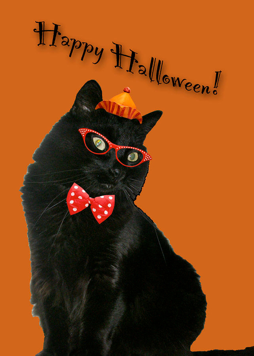 halloween-card--black-cat-ready-to-party-carol-senske (499x700, 265Kb)