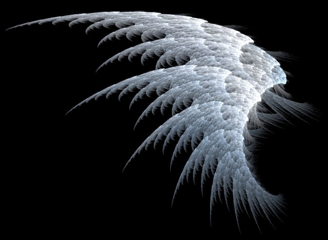 ___White_Angel_Wings____by_PinkMonkeyLove (640x468, 69Kb)