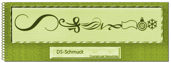 DS-Schmuck (700x258, 367Kb)
