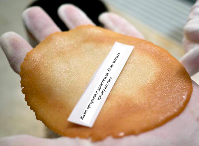 fortune cookie_3 (663x486, 205Kb)