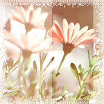 1 (150x150, 48Kb)