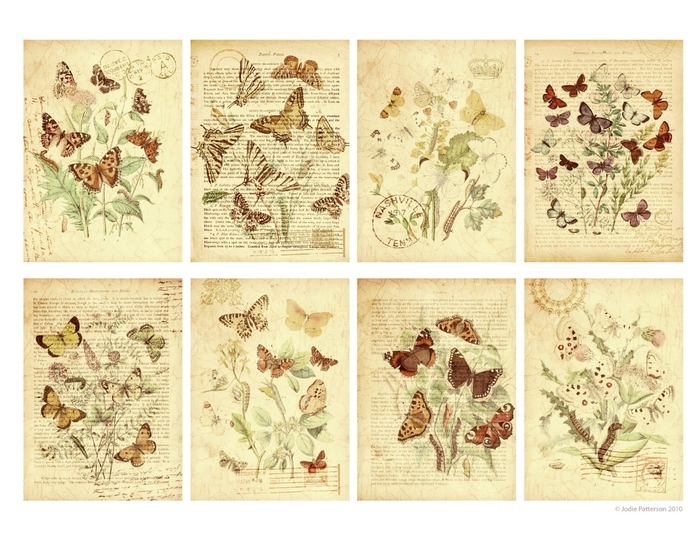 Gypsy_Chick_Butterfly_Garden_Tags (700x540, 298Kb)