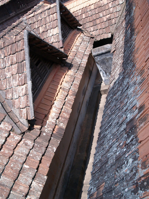 Дворец Падманабхапурам (Padmanabhapuram Palace) 49085