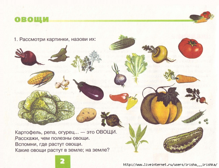Дидактическая игра фрукты овощи