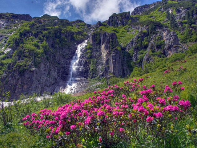 Wasserfall_am_Gruensee__2__01 (640x480, 420Kb)