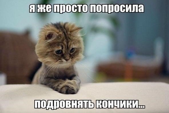OHS_9kS2nuQ (591x397, 38Kb)