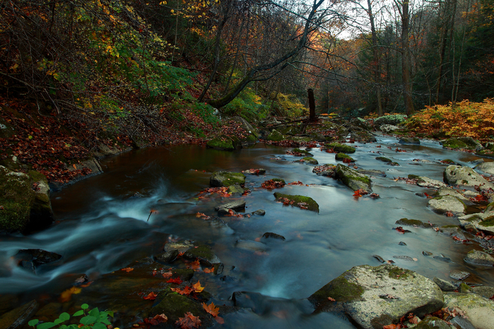Autumn-forest-creek-scenery_-_West_Virginia_-_ForestWander (700x466, 548Kb)
