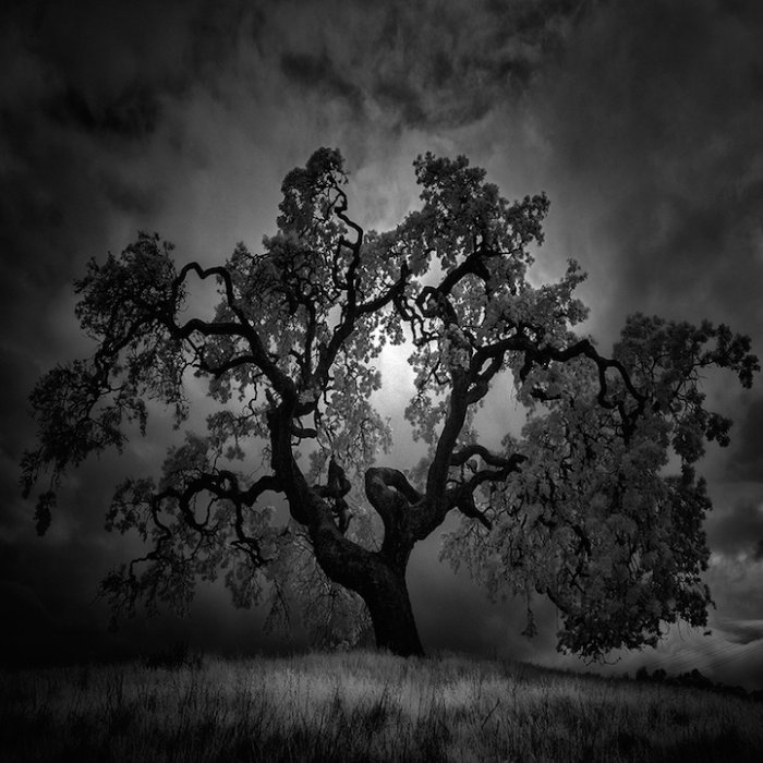 1 (700x700, 223Kb)