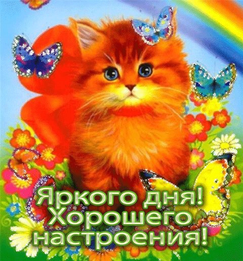 Яркое пожелание хорошего дня Яркое пожелание хорошего дня