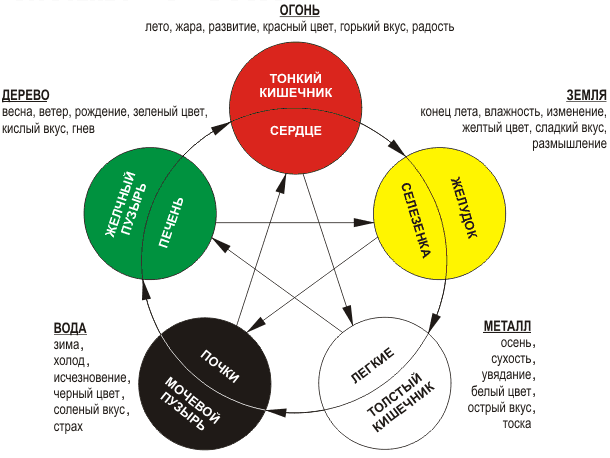 Движение гнева  по каналам тела 124951019_original__1_