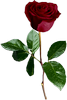 0_8a08f_68f62f7_L (67x100, 10Kb)