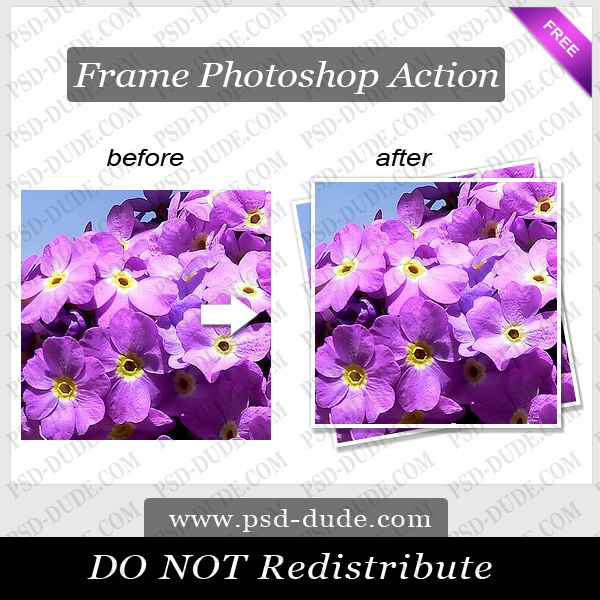 Photoshop Frame Action (600x600, 346Kb)