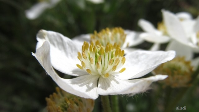 IMG_3430 a (640x360, 140Kb)