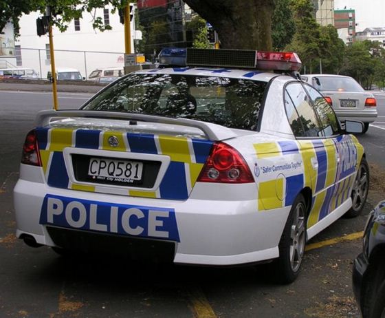 police car 11 (560x462, 53Kb)