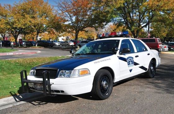 police car 65 (560x368, 57Kb)