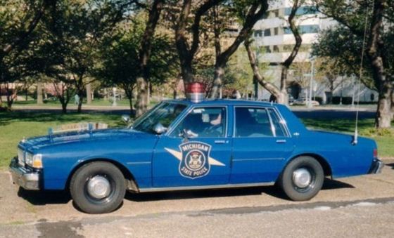 police car 66 (560x339, 44Kb)