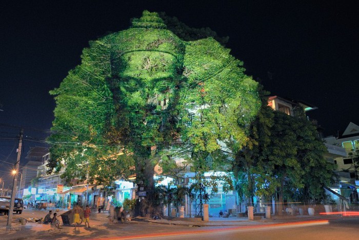 Световая инсталляция 'Деревья Камбоджи'