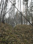 Превью SAM_4198 (300x400, 77Kb)