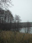  SAM_4208 (300x400, 55Kb)